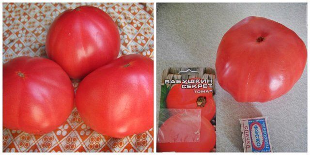Какие бывают томаты: классификация видов, групп и сортов 