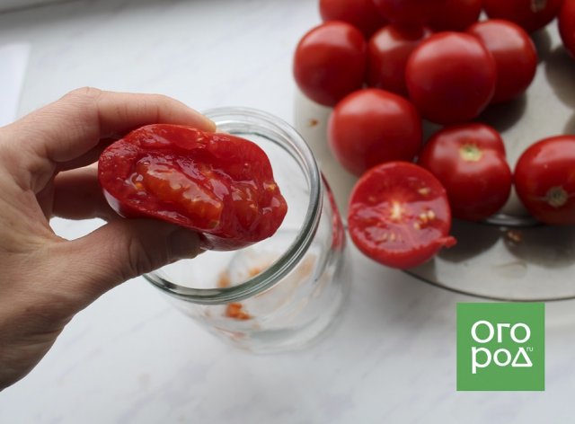 Можно ли собирать семена томатов с кустов, которые болели фитофторозом 