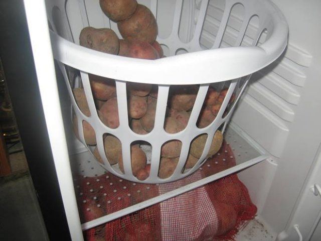 Как правильно хранить картофель в доме или квартире 