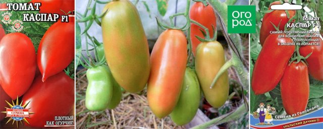 5 сортов и гибридов томатов для новичков: проверено томатоводами 