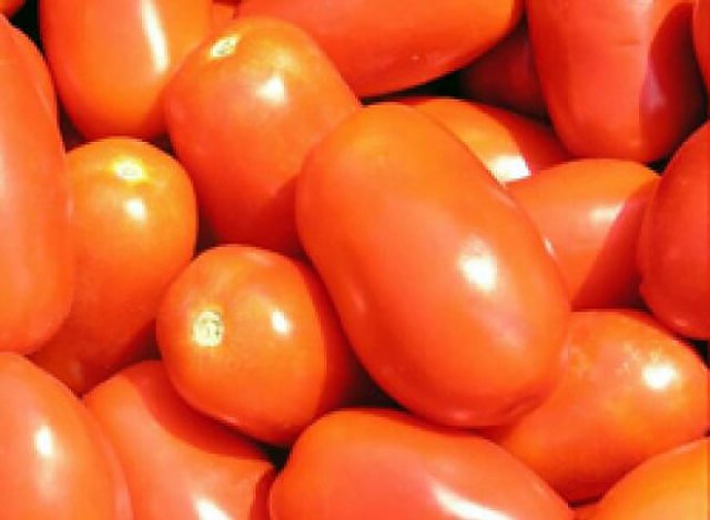 Лучшие сорта и гибриды томатов для вяления: 10 разноцветных вариантов 