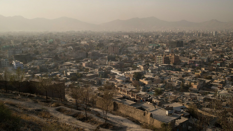 Талибы встретились с российскими инвесторами в Кабуле