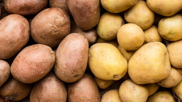 Почему гниет картошка в подвале 