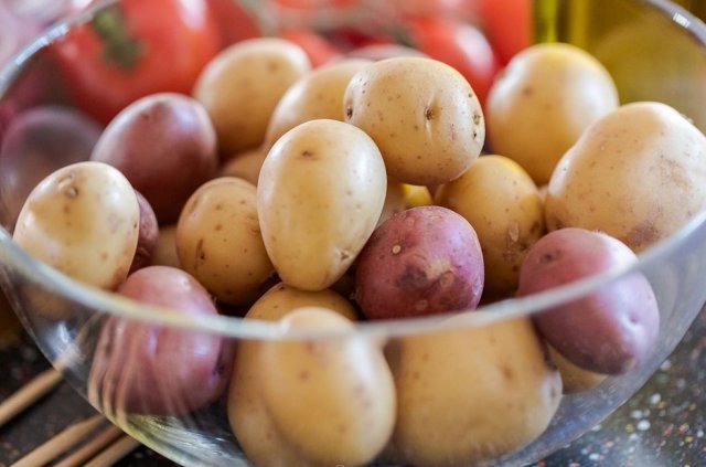 Чем отличается обычная картошка от семенной 