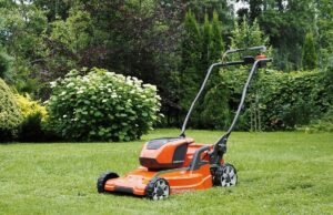 Выбор аккумуляторной газонокосилки