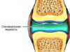 Для чего нужна синовиальная жидкость?